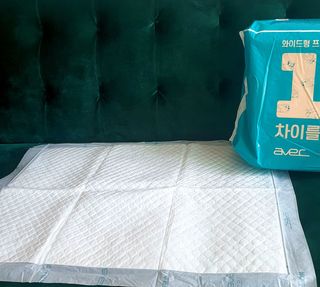 아베크 펫 와이드 프리미엄 중형 애견 강아지 배변 패드 54매 1팩 45g — 5점을 준 리뷰어가 2021년 7월 올린 사용 사진