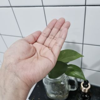 오투에니원 갈락토미세스 비타민 C 더블 브라이트닝 세럼 50ml — 5점을 준 리뷰어가 2023년 1월 올린 사용 사진