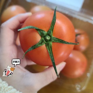 그므시라꼬님님이 올린 리뷰 사진 3