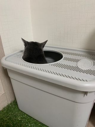 어린이님이 올린 리뷰 사진 4