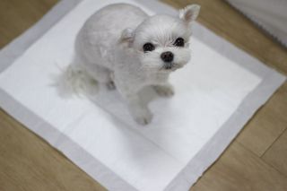 희온느님이 올린 리뷰 사진 2