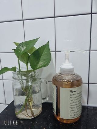 신현미님이 올린 리뷰 사진 1