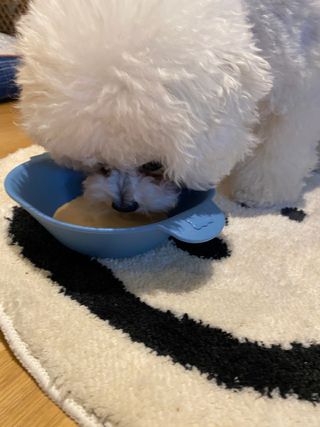 긍정미뇽님이 올린 리뷰 사진 2