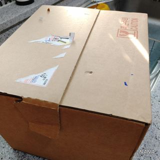 도이캄 착즙 완숙 토마토 200ml 12팩 무설탕 태국왕실 기내식주스 — 2.5점을 준 리뷰어가 2021년 2월 올린 사용 사진