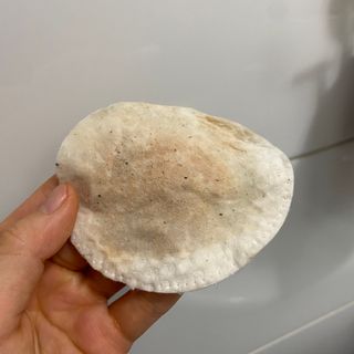 디어엘로디 무표백 021패드  12개세트 — 5점을 준 리뷰어가 2022년 9월 올린 사용 사진