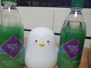 몽베스트 Montbest with Sparkling water Plain 20병 — 5점을 준 리뷰어가 2021년 10월 올린 사용 사진