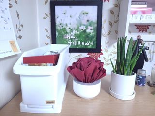 절제미님이 올린 리뷰 사진 4