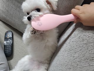 정은a님이 올린 리뷰 사진 4
