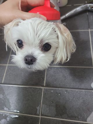 꼬물이님이 올린 리뷰 사진 2