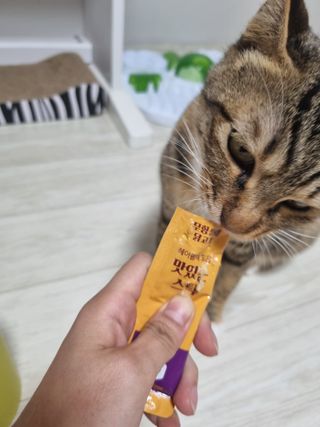 별빛달숲님이 올린 리뷰 사진 1