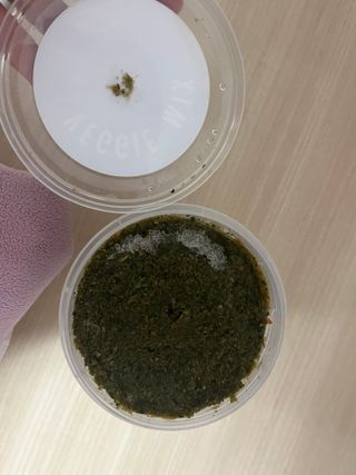 콩이예요님이 올린 리뷰 사진 4