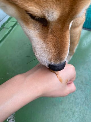지미추님이 올린 리뷰 사진 3