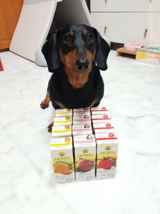 도이캄 착즙 완숙 토마토 200ml 12팩 무설탕 태국왕실 기내식주스 — 5점을 준 리뷰어가 2021년 2월 올린 사용 사진