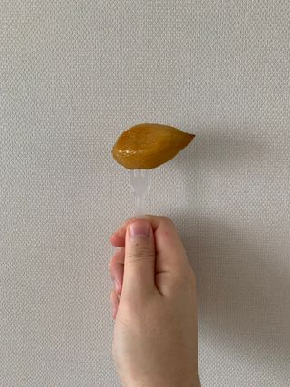 해뜨온 껍질없는 한입아이스 군고구마 120g x 4개 — 4점을 준 리뷰어가 2021년 9월 올린 사용 사진