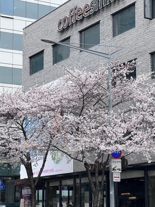 키키리님이 올린 리뷰 사진 1
