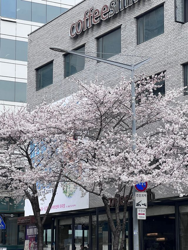 레드투래드 센서티브 어메이징 앰플 30ml 리뷰 사진
