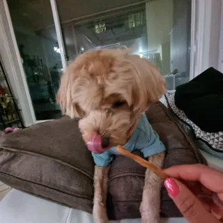 기린짱맘님이 올린 리뷰 사진 3