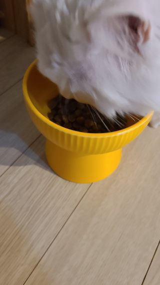 논지님이 올린 리뷰 사진 4