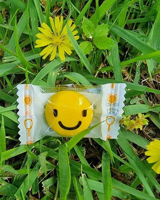 렐라님이 올린 리뷰 사진 2