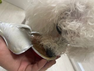 라라통통님이 올린 리뷰 사진 2