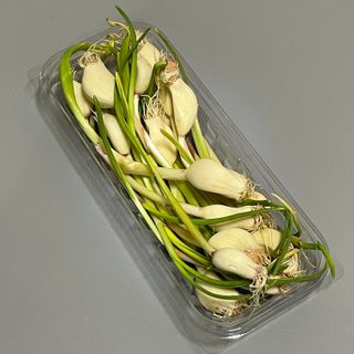 pse5656님이 올린 리뷰 사진 1