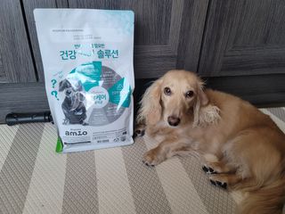 5_daks님이 올린 리뷰 사진 4