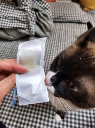 잇슈님이 올린 리뷰 사진 3