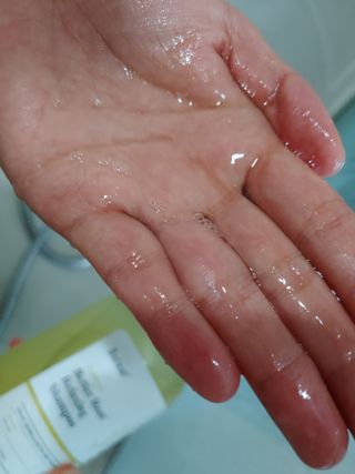 달리프 클로렐라 베러 루트 릴렉싱 샴푸 500ml — 4점을 준 리뷰어가 2021년 5월 올린 사용 사진