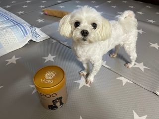 쓸언니님이 올린 리뷰 사진 1