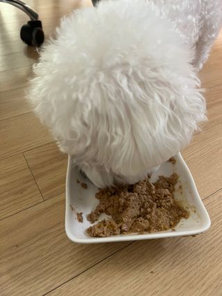 항상기쁘게사랑하자님이 올린 리뷰 사진 3
