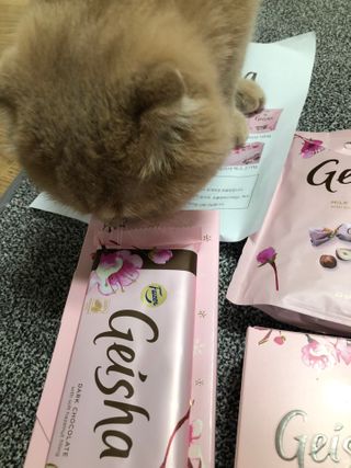 flowerblooming님이 올린 리뷰 사진 2