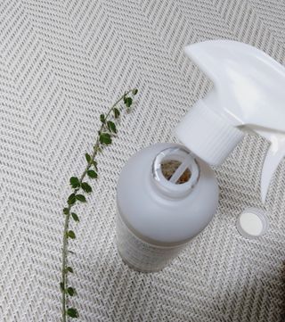 소담스퀘어 상암 장바이오텍(주)  배클 다목적 세정제 — 5점을 준 리뷰어가 2022년 12월 올린 사용 사진