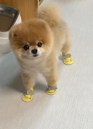 뽀야니님이 올린 리뷰 사진 3