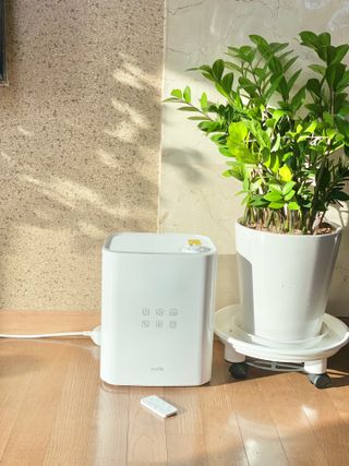 이이님이 올린 리뷰 사진 2
