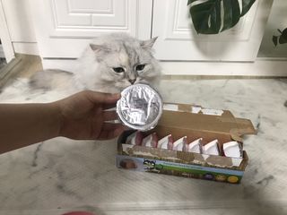 fively님이 올린 리뷰 사진 2