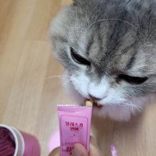 페페로니 잘 먹는 캣츄 - 알래스카 연어 24개입 — 5점을 준 리뷰어가 2021년 9월 올린 사용 사진