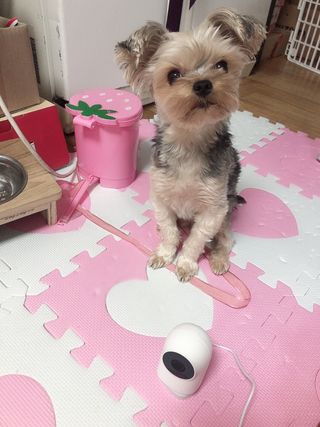 꿀님이 올린 리뷰 사진 4