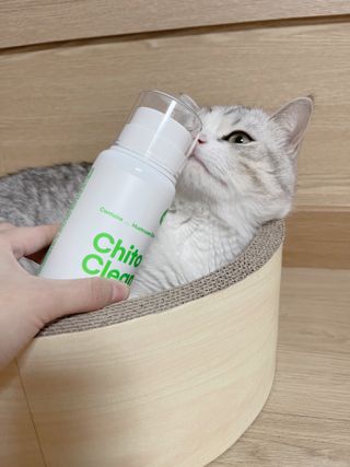 whol 키토클린 200ml - 항균항바이러스 강아지 눈 코 입 귀 세정탈취 고양이 턱드름제거 무향 워터리스 대용량 — 4.5점을 준 리뷰어가 2022년 10월 올린 사용 사진