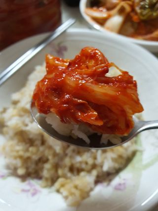 셰프애찬 알배기 겉절이 김치 1kg — 5점을 준 리뷰어가 2022년 11월 올린 사용 사진