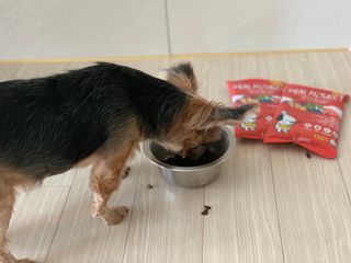 kkyubebe님이 올린 리뷰 사진 2