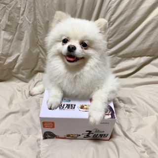 오랑이님이 올린 리뷰 사진 4