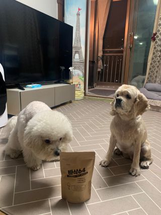 [보헤리] 국내산 강아지 육포간식 바삭 64 2종 — 4.5점을 준 리뷰어가 2022년 3월 올린 사용 사진
