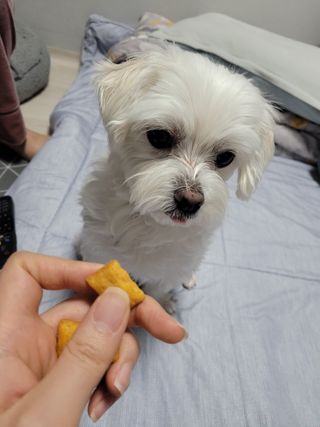 pussyess님이 올린 리뷰 사진 4