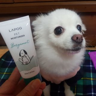 바나나님이 올린 리뷰 사진 2