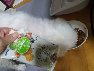 단츄♡님이 올린 리뷰 사진 1