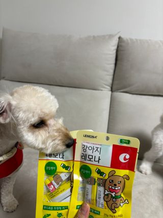 밍디님이 올린 리뷰 사진 4