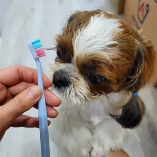 가루파랑님이 올린 리뷰 사진 4