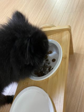 블리🥰님이 올린 리뷰 사진 2
