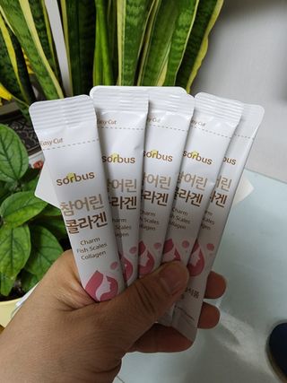 황금나무님이 올린 리뷰 사진 4