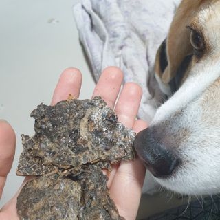 beaglelove님이 올린 리뷰 사진 3